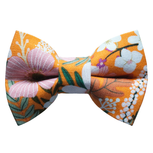 The Force of Nature - Cat / Dog Bow Tie