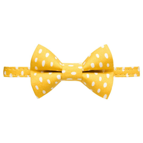The Always Sunny in Pickle-dephia - Cat Collar + Matching Removable Bow Tie