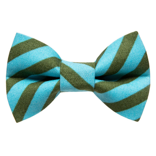 The Editor - Cat / Dog Bow Tie