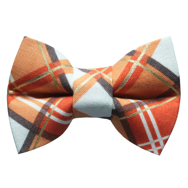 The Fall Guy - Cat / Dog Bow Tie
