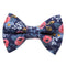 The Wonderland - Cat Collar + Matching Removable Bow Tie