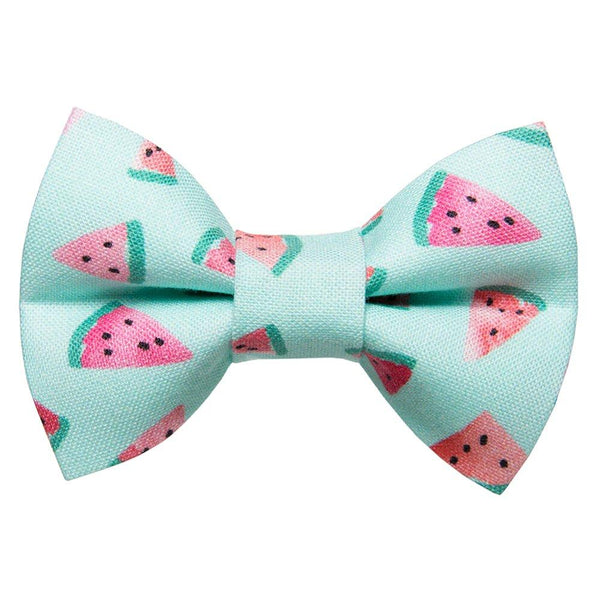 The One in a Melon - Cat Bow Tie - Limited Edition