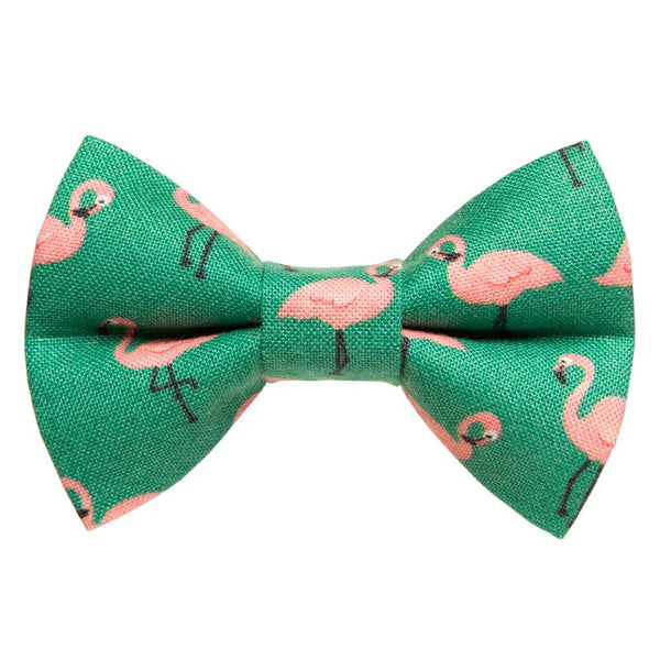 The Next Stop, Miami - Cat Bow Tie - Limited Edition