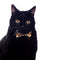The Toastmaster - Cat Bow Tie