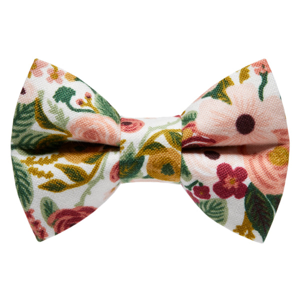 The Sugar + Spice - Cat / Dog Bow Tie