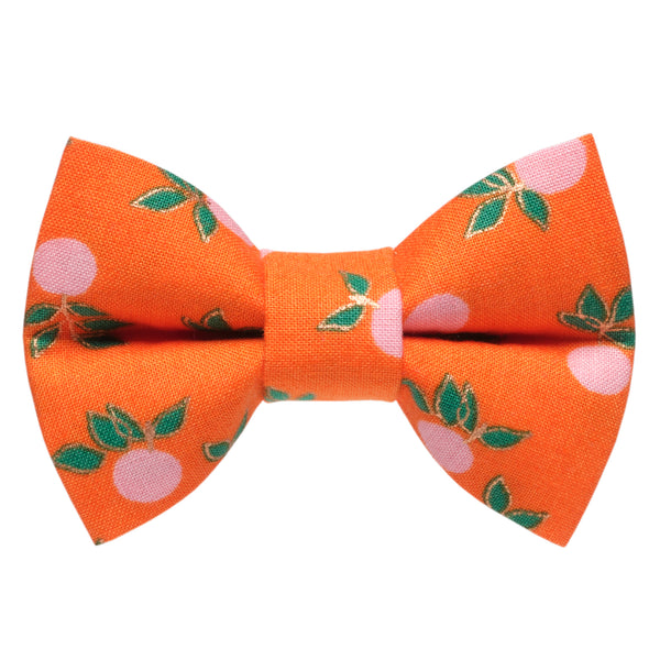 The From the Source - Cat / Dog Bow Tie
