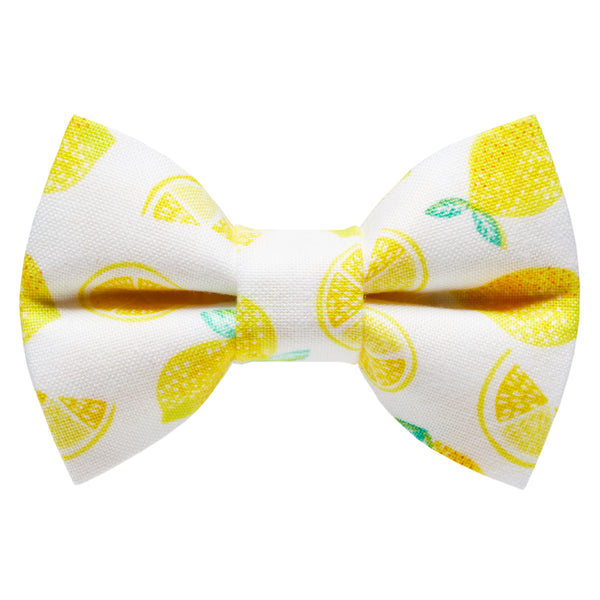 The Main Squeeze - Cat / Dog Bow Tie