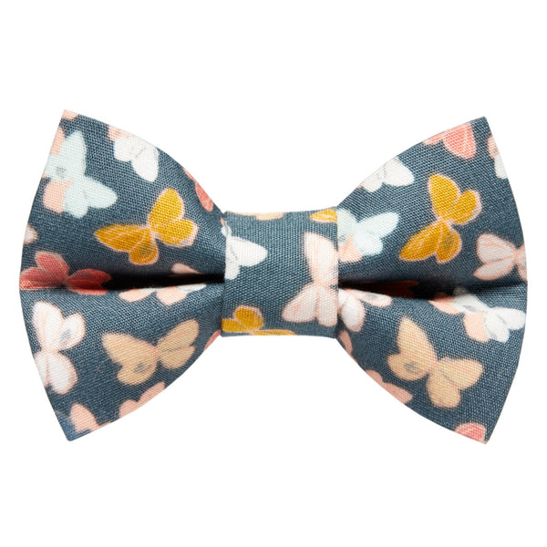 The Out For Lunch - Cat / Dog Bow Tie