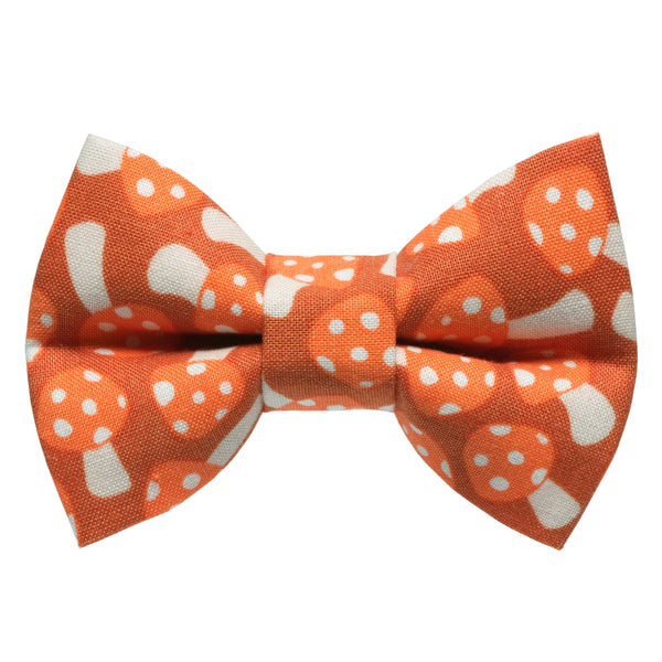 Cat + Dog Bow Ties Sweet Pickles Designs